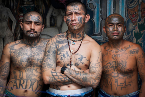 Three actual
Central American gangsters, covered in tattoos