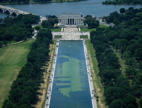A view of the reflecting pool,
presumably taken from the top of the Washington monument. Indeed, the algal bloom is somewhat elephant-shaped.