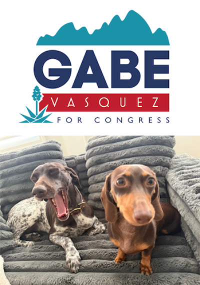 An ad for Gabe Vasquez
for Congress, with a picture of a dachshund and a chocolate lab