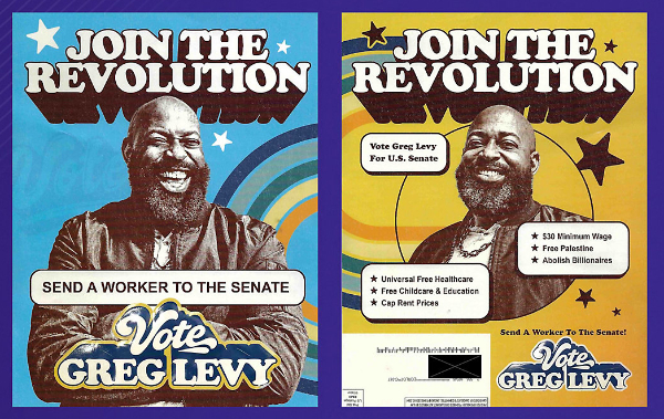 It says 'JOIN THE REVOLUTION!
SEND A WORKER TO THE SENATE! GREG LEVY. It also lists a bunch of very-far-left policy positions, and portrays Levy
as a bald-headed, bearded, jolly-looking Black man.