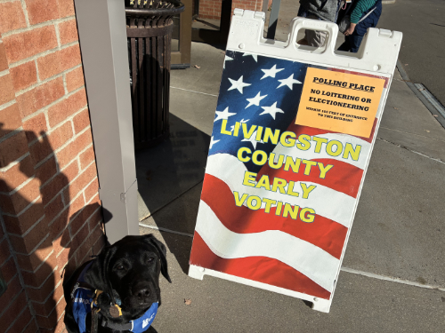 A black lab sits 
next to a sandwich board that says 'Livingston County Early Voting'