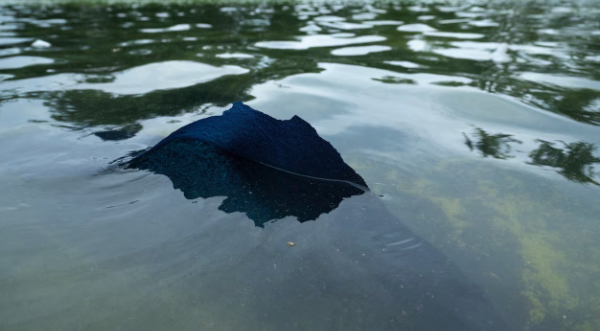 A blanket-sized chunk of blue
paint floats on the surface of the reflecting pool
