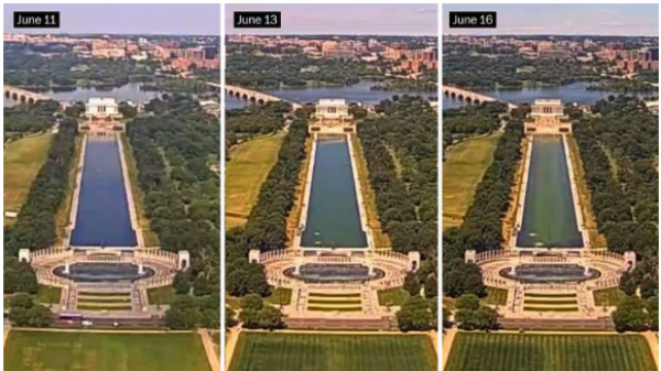 Three overhead shots of the 
pool; it goes from blue-ish to green-blue to green over the course of 5 days.