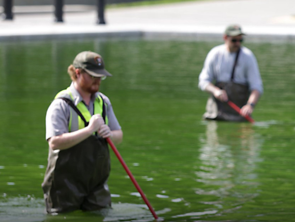 Two workers wear rubber fishing pants
but no other protective equipment