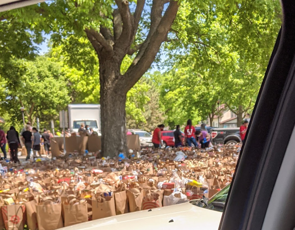 A picture of a public
park; you can see at least 150 bags full of groceries waiting to be distributed