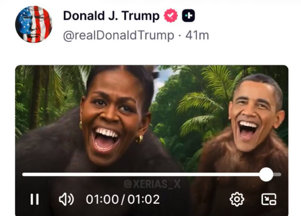 An ape with Michelle Obama's
head imposed is in the foreground; an spe with Barack Obama's head imposed is in the background