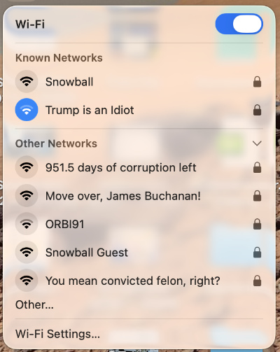 A window allowing for 
someone to choose a network name has options like 'Trump is an idiot,' '951.5 days of corruption left' and 'Move over
James Buchanan'