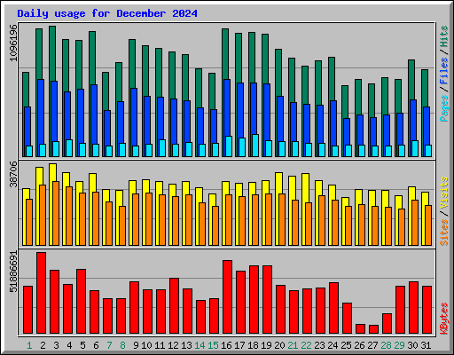 Daily usage for December 2024