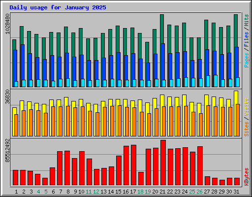 Daily usage for January 2025