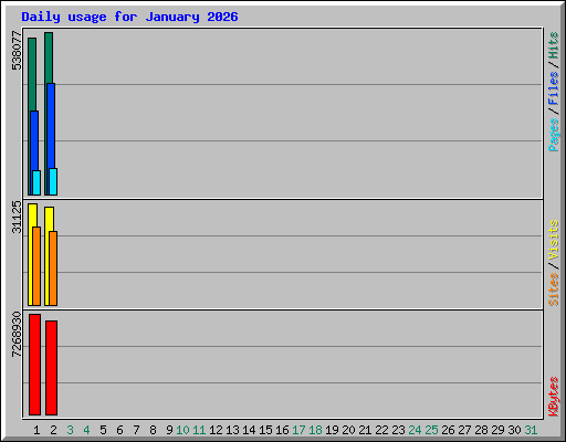 Daily usage for January 2026