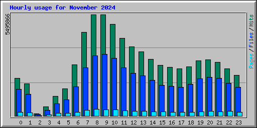 Hourly usage for November 2024