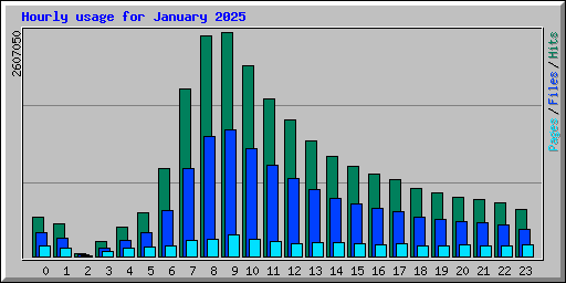 Hourly usage for January 2025