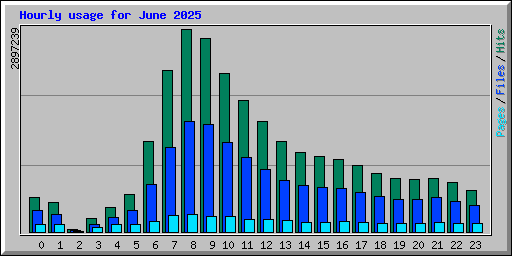 Hourly usage for June 2025