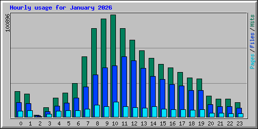 Hourly usage for January 2026
